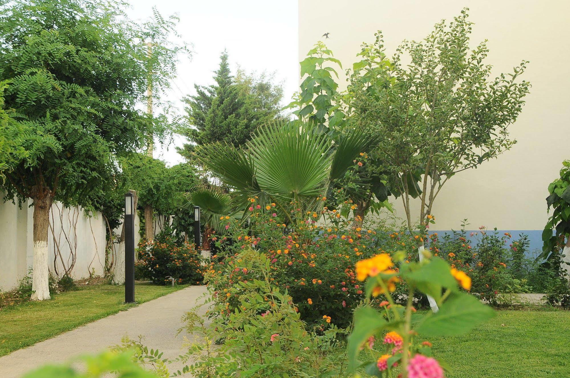 Aral Hotel